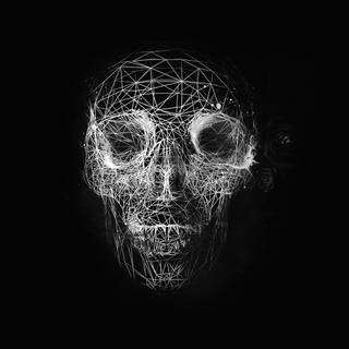 Digital skull wallpaper