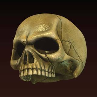 Digital skull wallpaper
