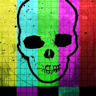 Digital skull wallpaper