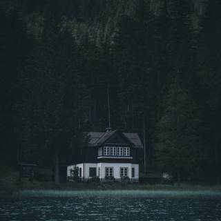 Silence 4k wallpaper