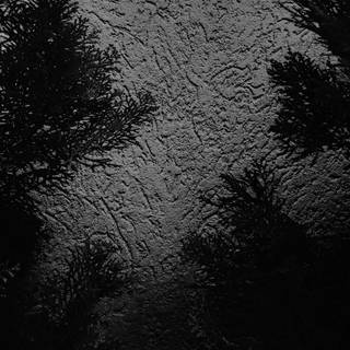 Silence 4k wallpaper