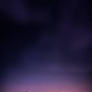 F-22 phone wallpaper