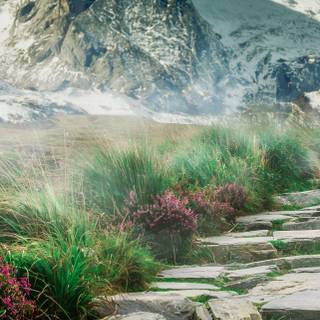 iPhone 13 Pro Max nature wallpaper