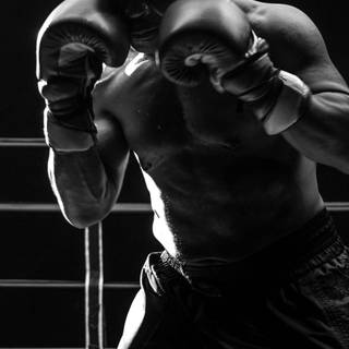 Mike Tyson phone wallpaper