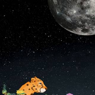 Moon night iPhone wallpaper