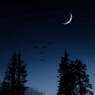 Moon night iPhone wallpaper