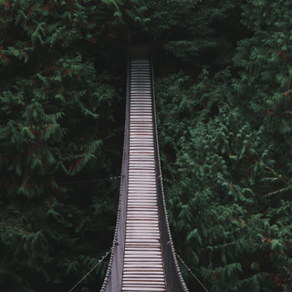Bridge iPhone wallpaper
