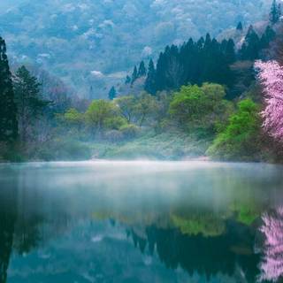 Korea landscape wallpaper