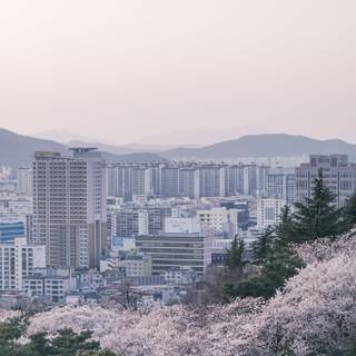 Spring Korea 4k wallpaper