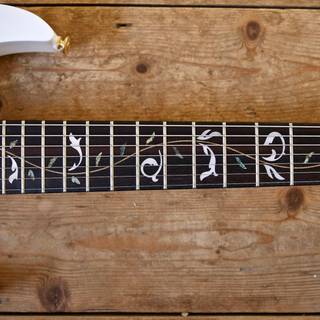 Ibanez Jem wallpaper