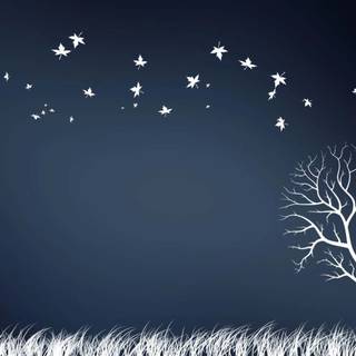 Desktop creative wallpaper