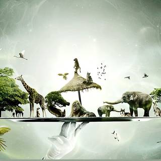 Desktop creative wallpaper