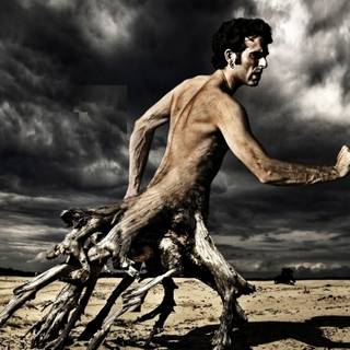 Desktop creative wallpaper