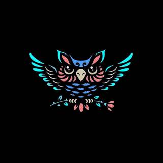 iPhone amoled 4k wallpaper