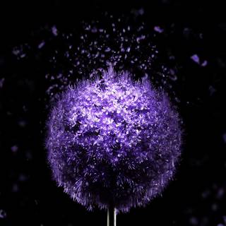 iPhone amoled 4k wallpaper