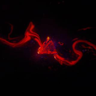 Black and orange desktop wallpaper