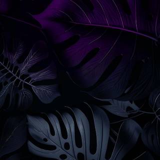 iPhone amoled 4k wallpaper