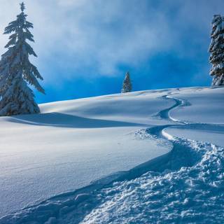 Winter 4k Windows wallpaper