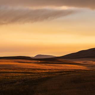 4k Montana wallpaper