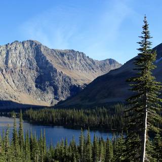 4k Montana wallpaper