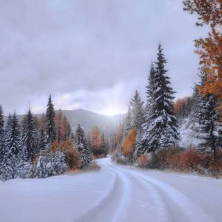 4k Montana wallpaper