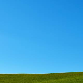 iPhone grass wallpaper