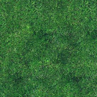 iPhone grass wallpaper