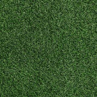iPhone grass wallpaper