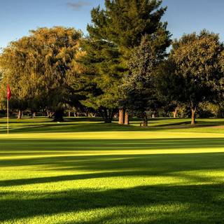 iPhone grass wallpaper