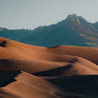 Flat phone wallpaper