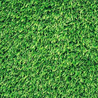 iPhone grass wallpaper