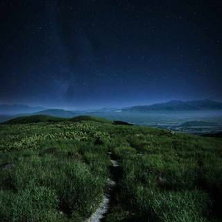 iPhone grass wallpaper