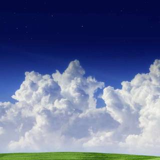 iPhone grass wallpaper