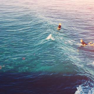 iPhone surf wallpaper