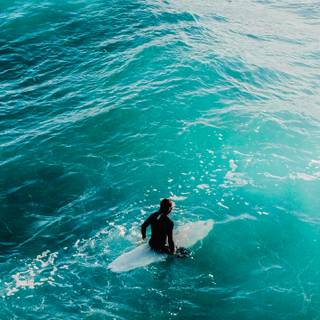 iPhone surf wallpaper