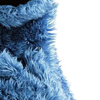 Cookie Monster phone wallpaper