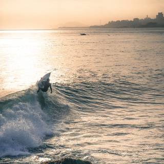 iPhone surf wallpaper