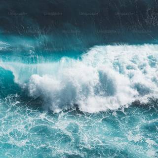 iPhone surf wallpaper