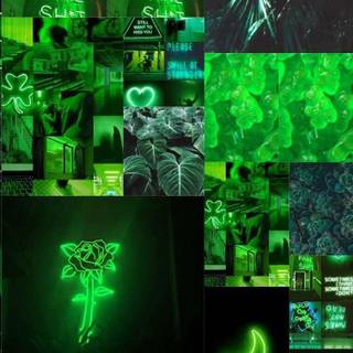 Neon green phone wallpaper