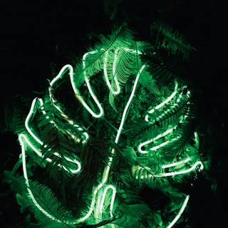 Neon green phone wallpaper