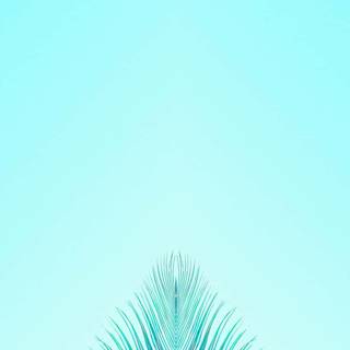Turquoise iPhone wallpaper