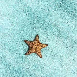 Turquoise iPhone wallpaper