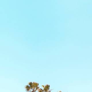 Turquoise iPhone wallpaper