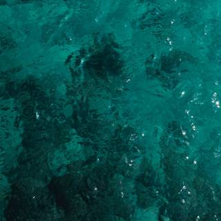 Turquoise iPhone wallpaper