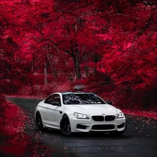 BMW M6 iPhone wallpaper