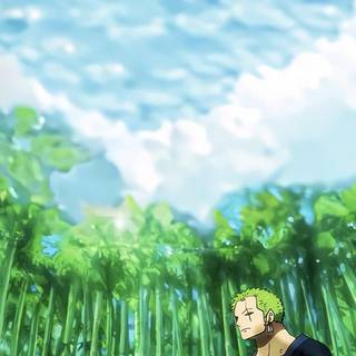 Phone Zoro wallpaper