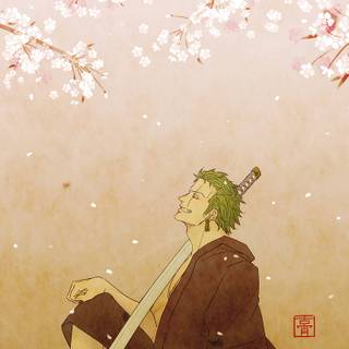 Phone Zoro wallpaper