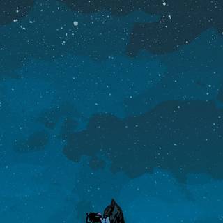 Catwoman iPhone wallpaper
