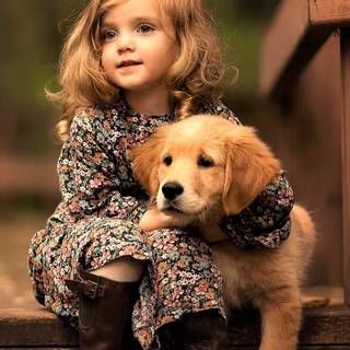 Golden Retriever iPhone wallpaper