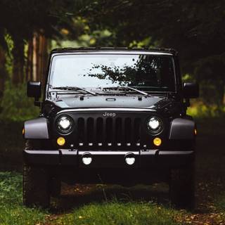 Jeep Wrangler iPhone wallpaper
